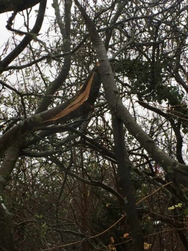 Afbeelding 2 kopie_new