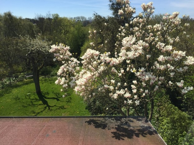 Afbeelding kopie_new